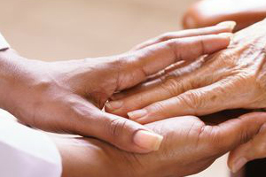HANDS WEB